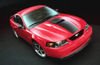 2004 Ford Mustang Mach 1 Picture